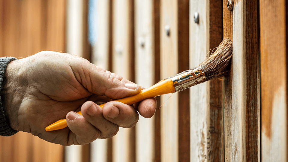 Fence Staining Precise Painting