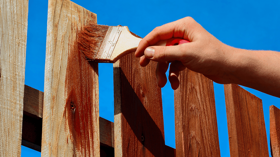 Fence Staining Precise Painting